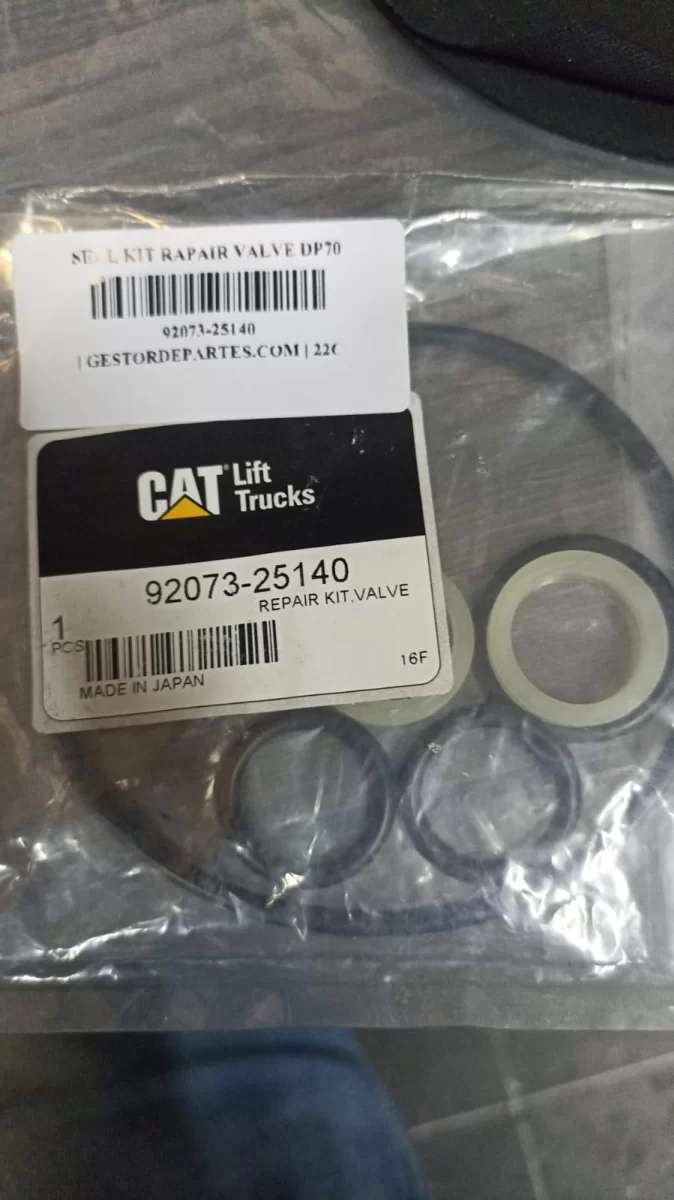 SEAL KIT RAPAIR VALVE DP70