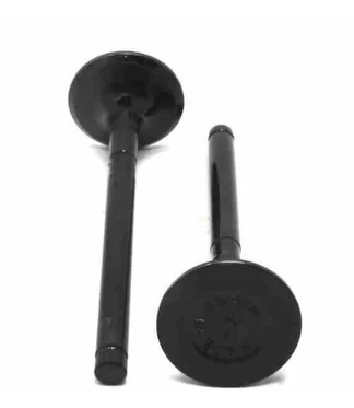 VALVULAS DE ADMISION ISUZU 6HE1